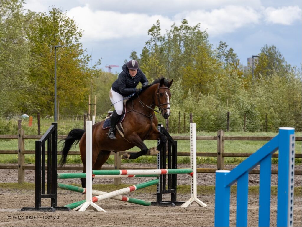 foto van springend paard