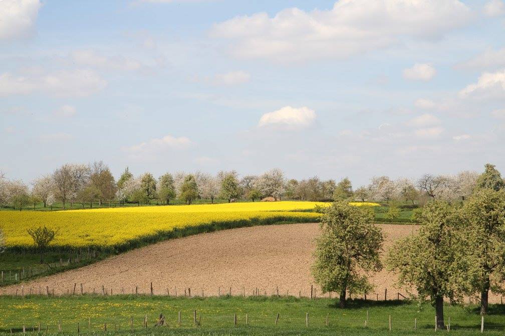 foto van een landschap