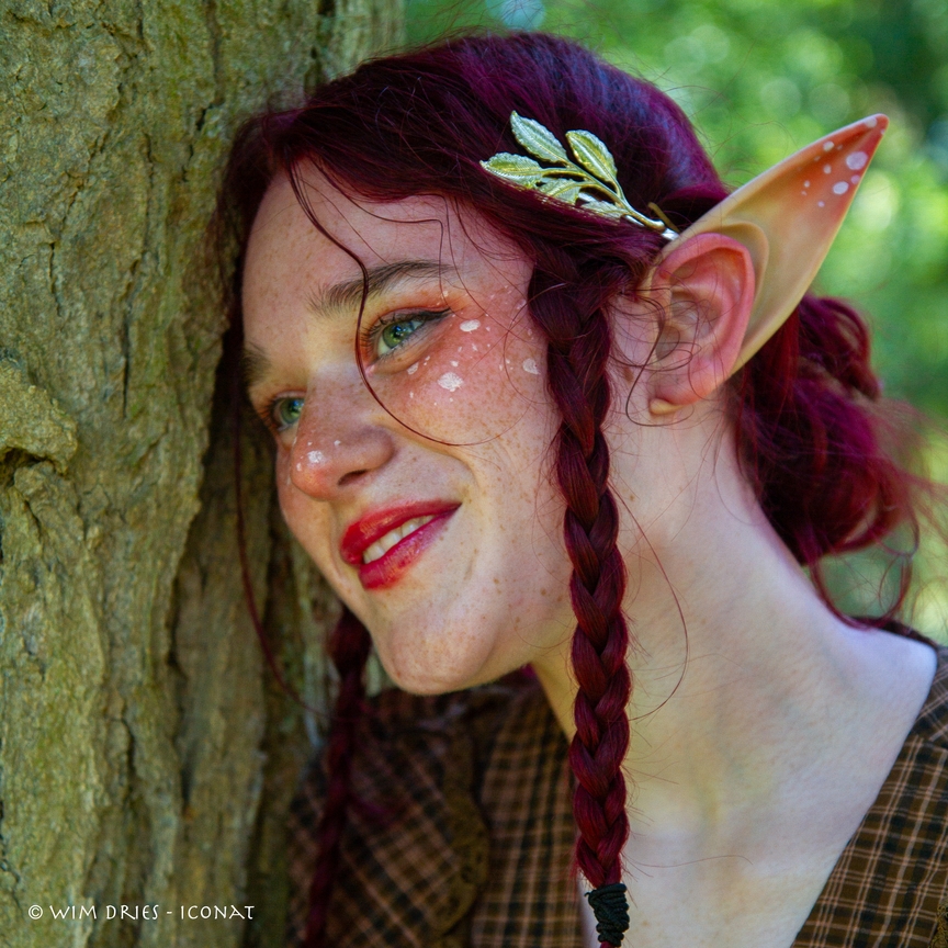 Elftopia